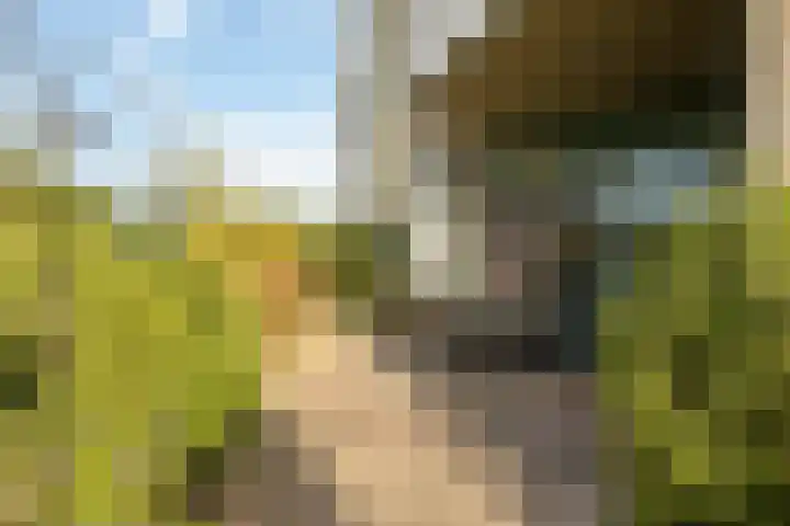 Dijkgravenlaan 11 Leiderdorp thumbnail 32