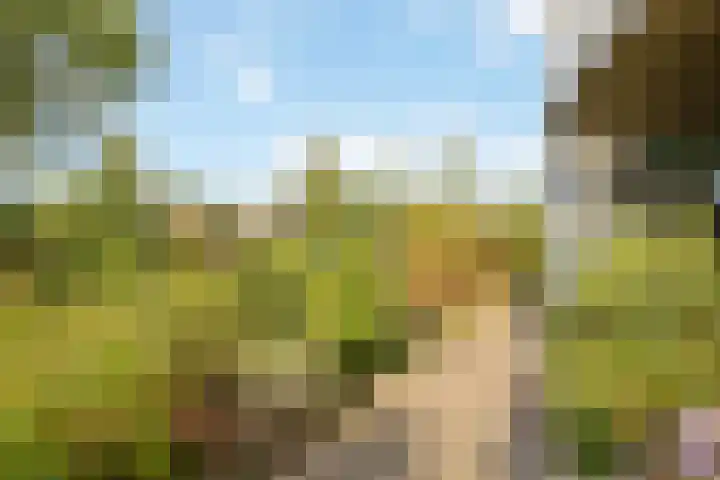 Dijkgravenlaan 11 Leiderdorp thumbnail 33