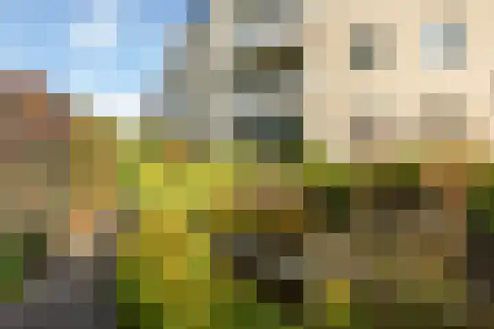 Dijkgravenlaan 11 Leiderdorp thumbnail 35