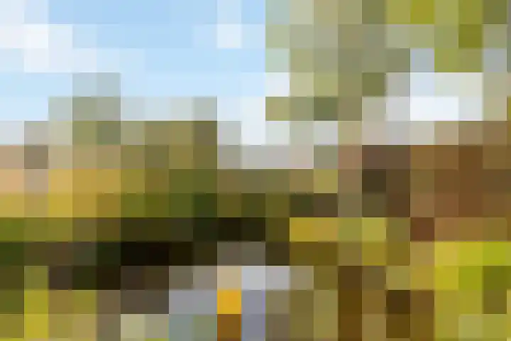 Dijkgravenlaan 11 Leiderdorp thumbnail 36
