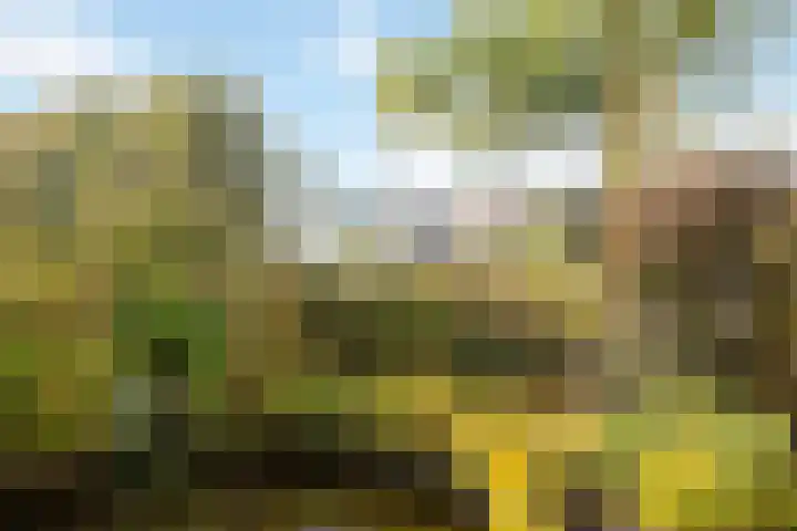 Dijkgravenlaan 11 Leiderdorp thumbnail 37