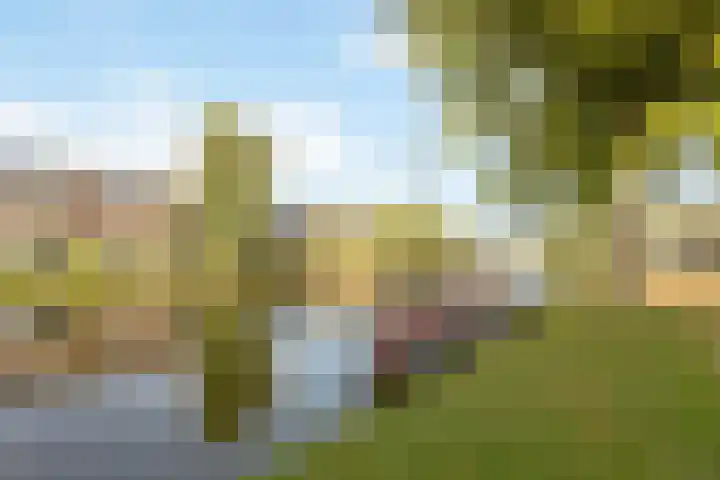 Dijkgravenlaan 11 Leiderdorp thumbnail 47