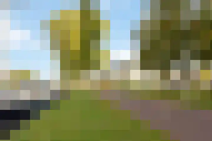 Dijkgravenlaan 11 Leiderdorp thumbnail 48