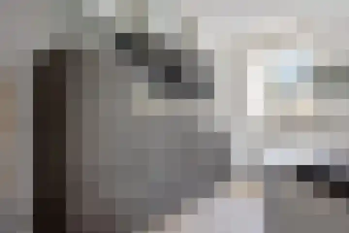 Dijkgravenlaan 11 Leiderdorp thumbnail 5