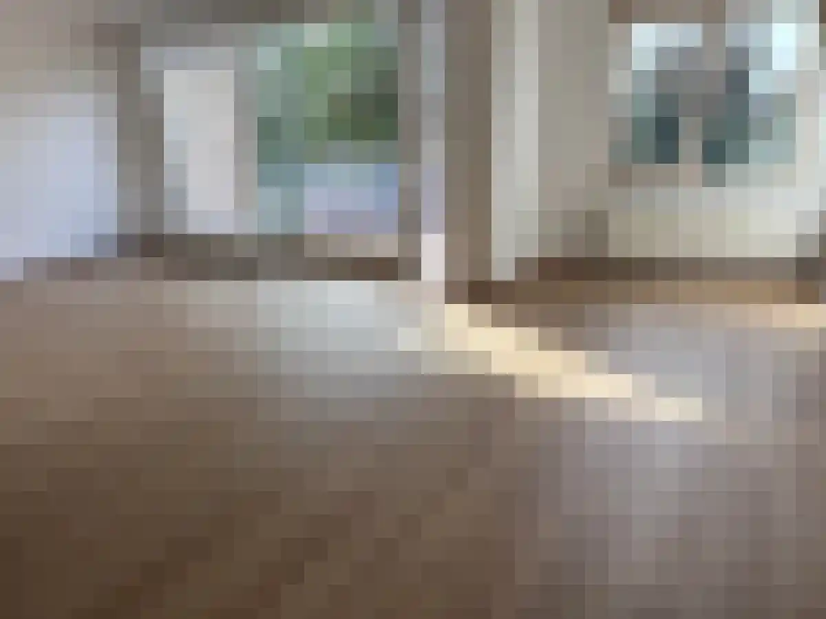 Dijkgravenlaan 49 Leiderdorp thumbnail 7