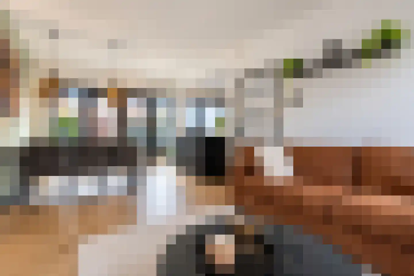 Dijkgravenstraat 22 Ter Aar thumbnail 10