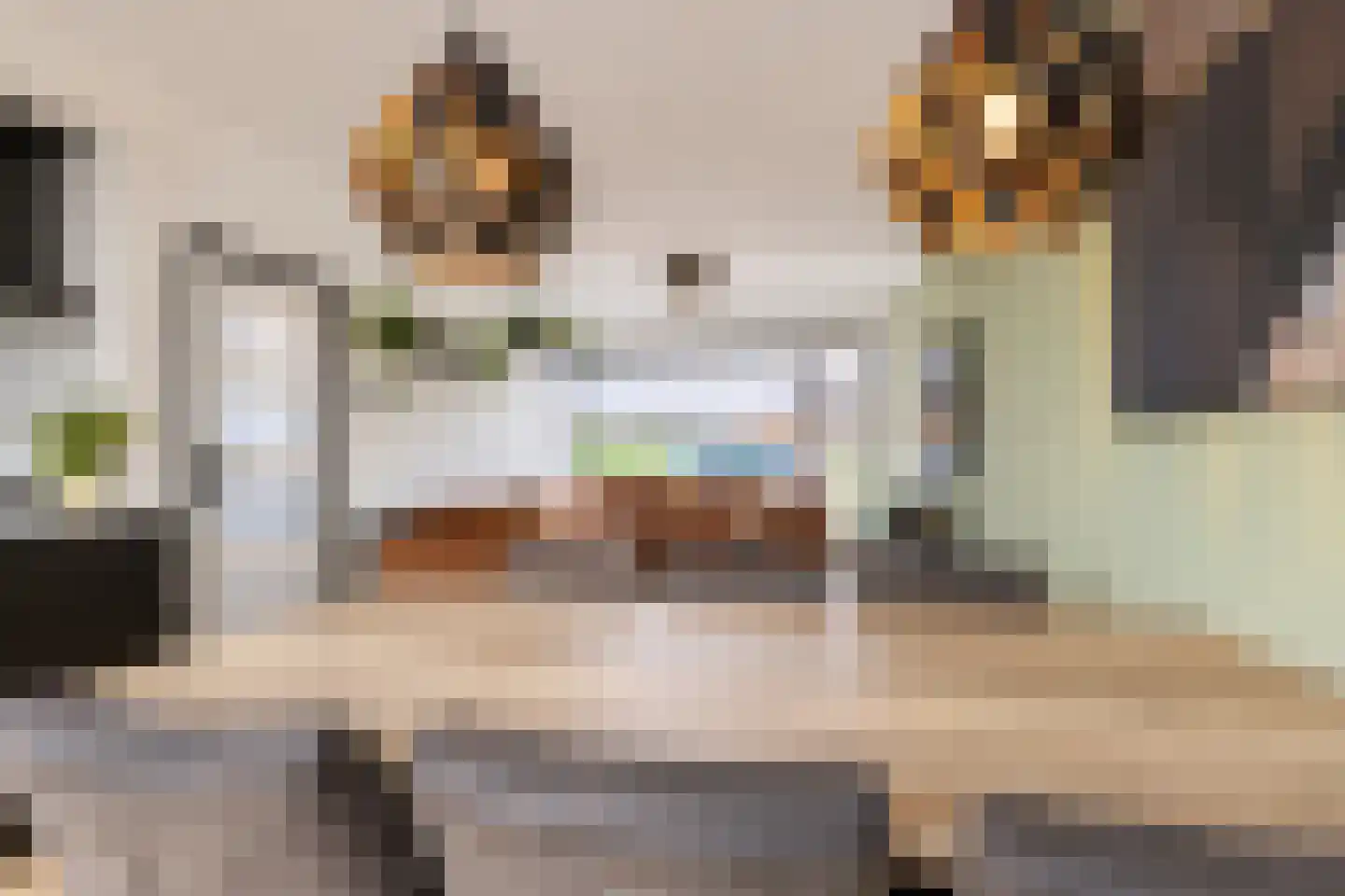Dijkgravenstraat 22 Ter Aar thumbnail 11