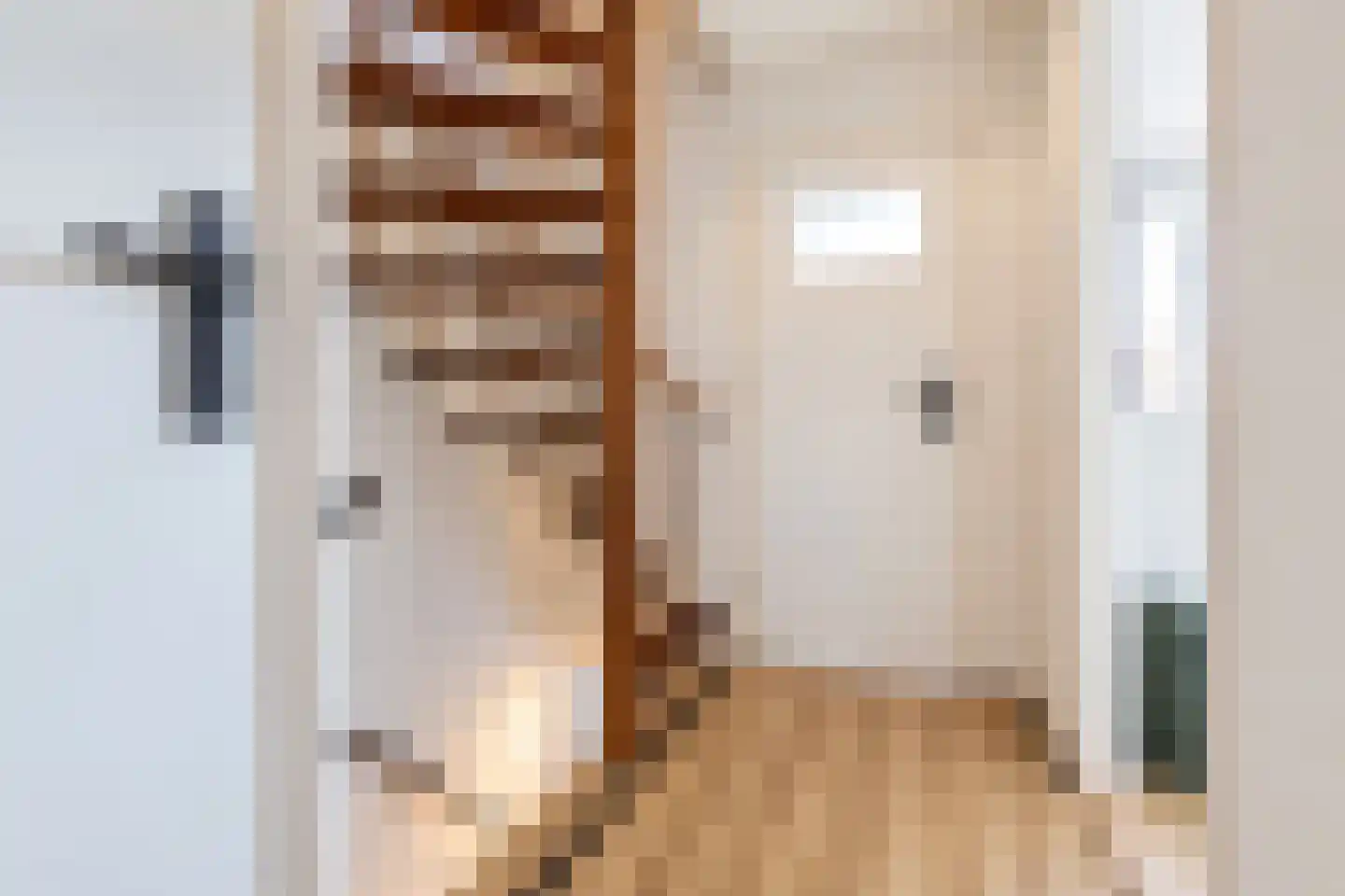 Dijkgravenstraat 22 Ter Aar thumbnail 26