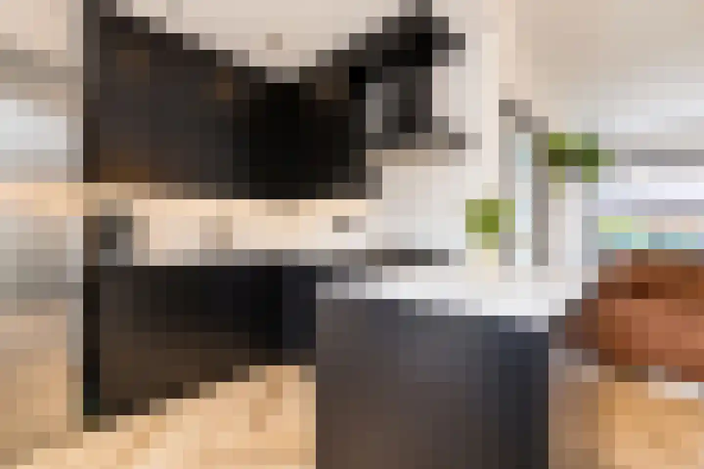 Dijkgravenstraat 22 Ter Aar foto 3