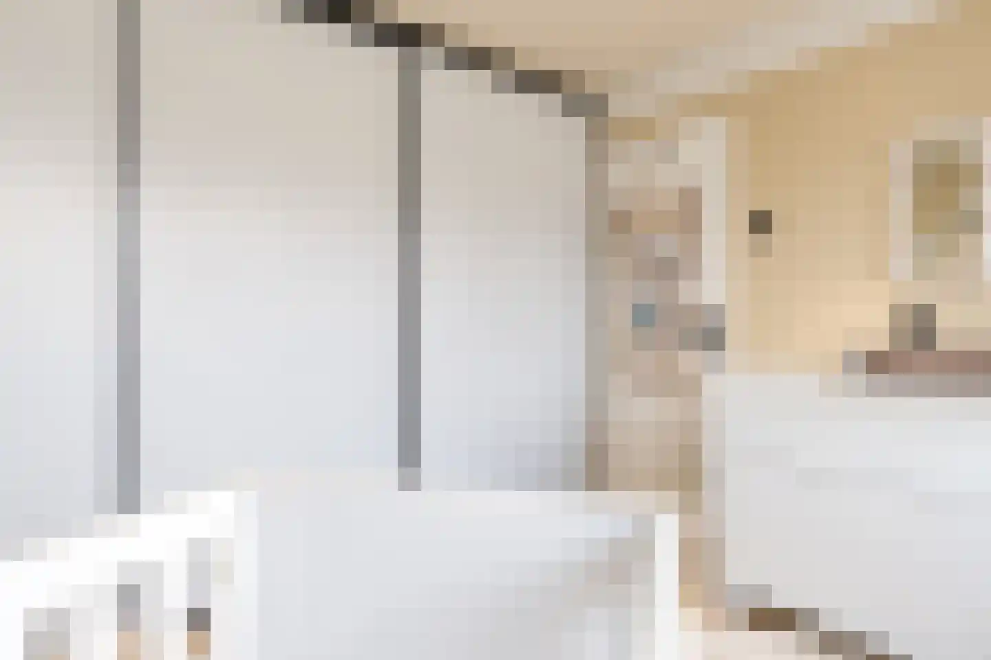 Dijkgravenstraat 22 Ter Aar thumbnail 30