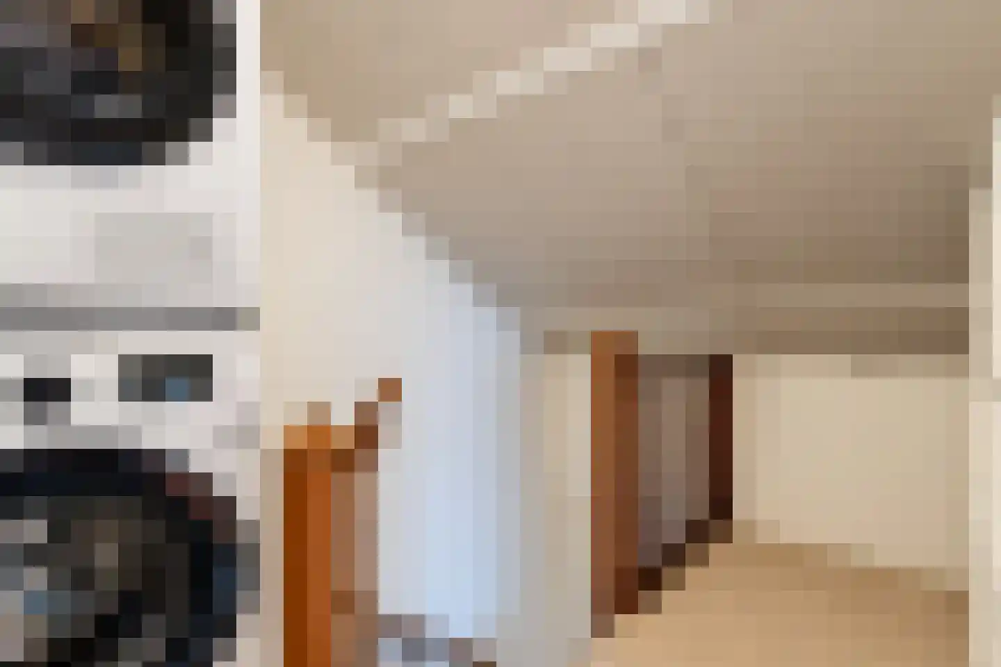 Dijkgravenstraat 22 Ter Aar thumbnail 35