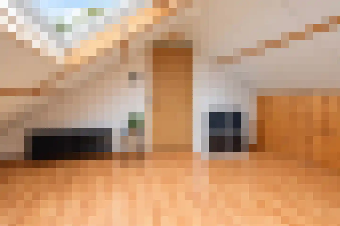 Dijkgravenstraat 22 Ter Aar thumbnail 37