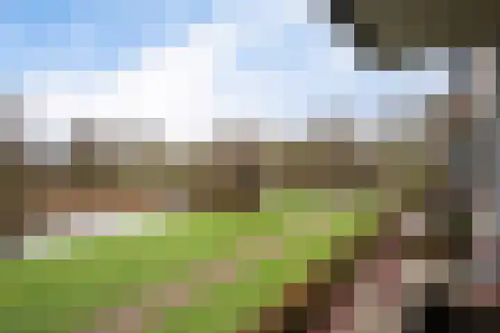 Dijkhoeve 5 02 Houten thumbnail 10