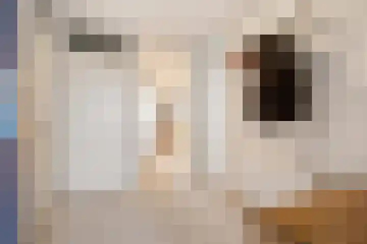 Dijkhoeve 5 02 Houten thumbnail 15