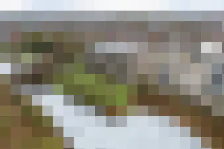 Dijkhoeve 5 02 Houten thumbnail 28
