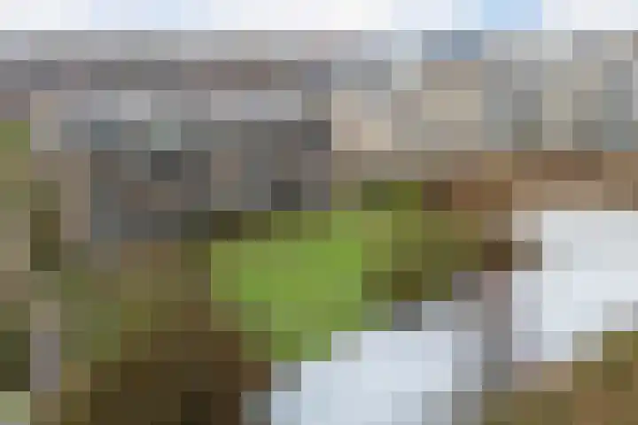 Dijkhoeve 5 02 Houten thumbnail 29
