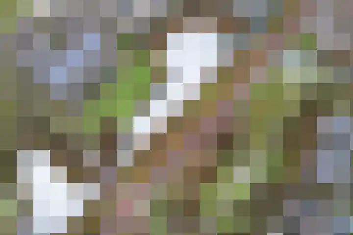 Dijkhoeve 5 02 Houten thumbnail 30