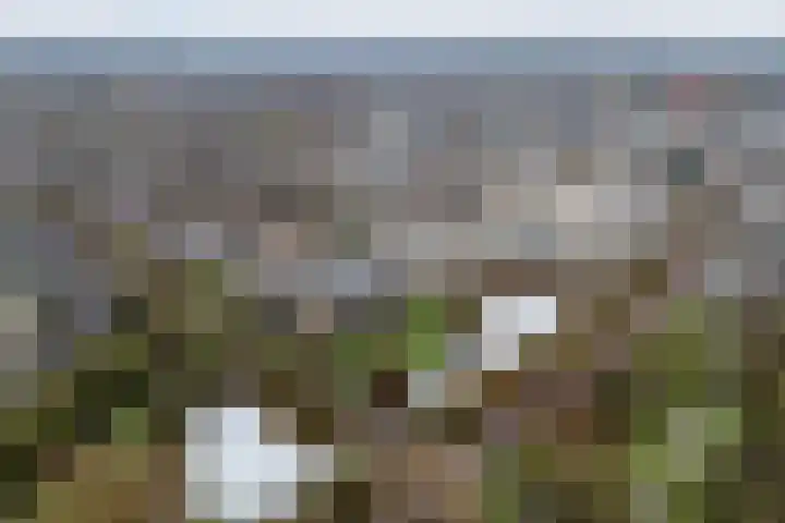 Dijkhoeve 5 02 Houten thumbnail 31