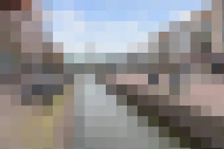 Dijkhoeve 5 02 Houten thumbnail 35