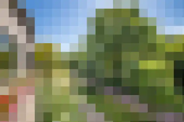 Dijkhoeve 5 06 Houten thumbnail 10