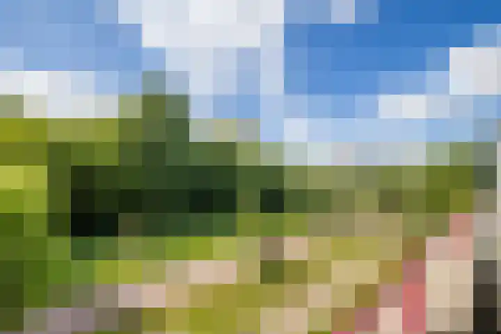 Dijkhoeve 5 06 Houten thumbnail 11