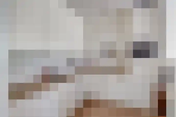 Dijkhoeve 5 06 Houten thumbnail 16