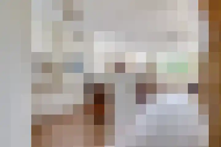 Dijkhoeve 5 06 Houten thumbnail 17