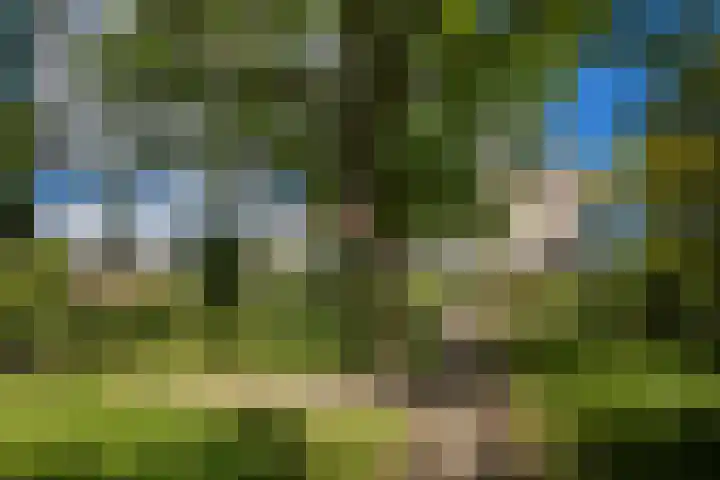 Dijkhoeve 5 06 Houten thumbnail 38