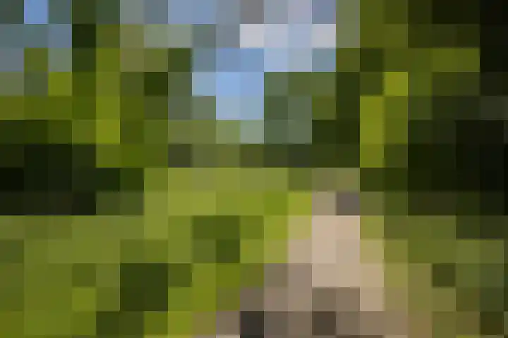 Dijkhoeve 5 06 Houten thumbnail 39