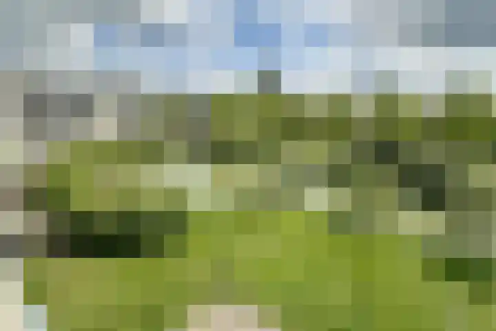 Dijkhoeve 5 06 Houten thumbnail 42