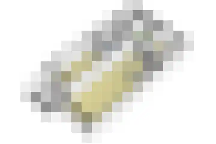 Dijkhoeve 5 06 Houten thumbnail 54