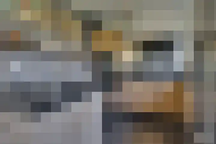 Dijkhoeve 5 Leusden thumbnail 11