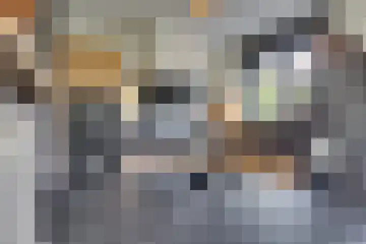 Dijkhoeve 5 Leusden thumbnail 12