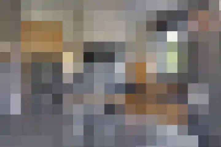 Dijkhoeve 5 Leusden thumbnail 13