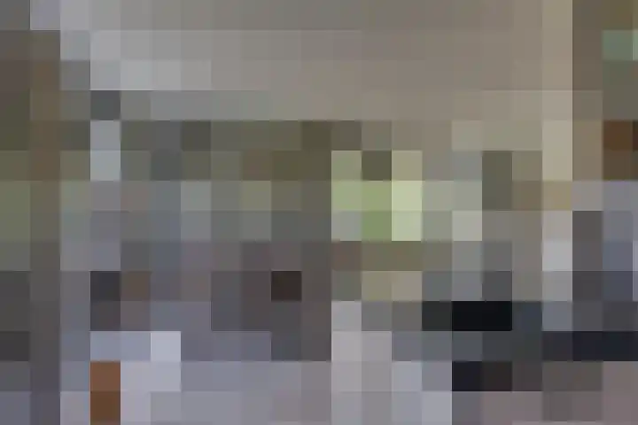 Dijkhoeve 5 Leusden thumbnail 14