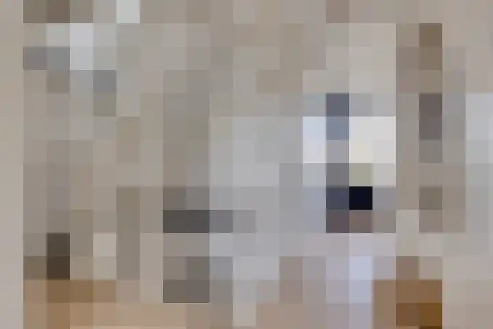 Dijkhoeve 5 Leusden thumbnail 22