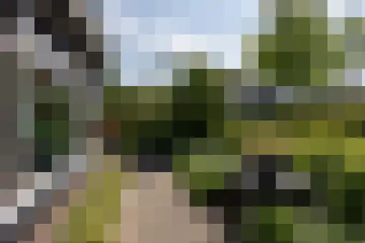 Dijkhoeve 5 Leusden thumbnail 32