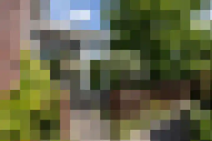 Dijkhoeve 5 Leusden thumbnail 33