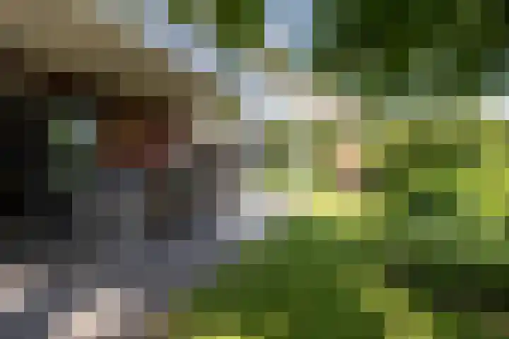 Dijkhoeve 5 Leusden thumbnail 34