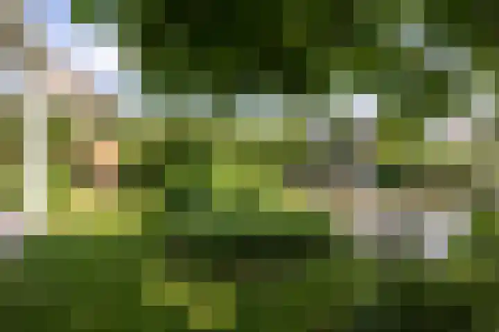 Dijkhoeve 5 Leusden thumbnail 35