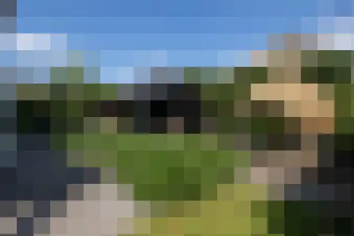 Dijkhoeve 5 Leusden thumbnail 38