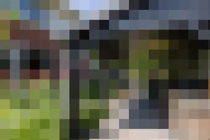Dijkhoeve 5 Leusden thumbnail 41