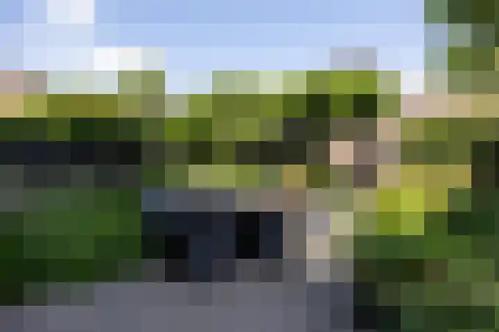 Dijkhoeve 5 Leusden thumbnail 42