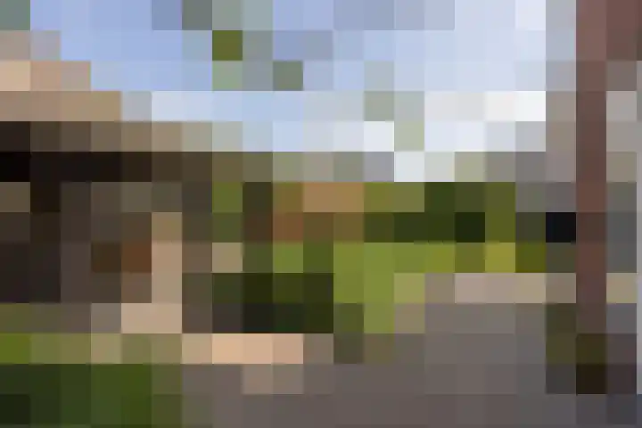 Dijkhoeve 5 Leusden thumbnail 43