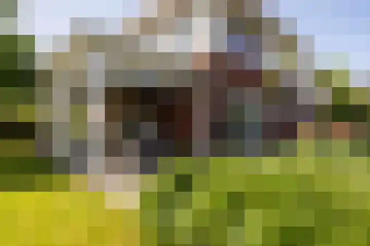Dijkhoeve 5 Leusden thumbnail 44