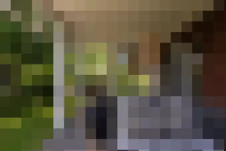 Dijkhoeve 5 Leusden thumbnail 45