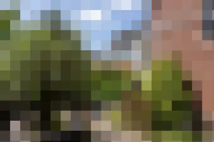 Dijkhoeve 5 Leusden thumbnail 47