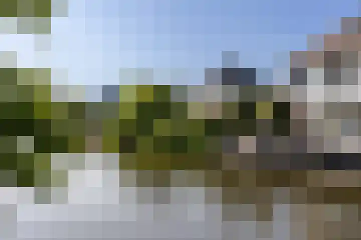 Dijkhoeve 5 Leusden thumbnail 48