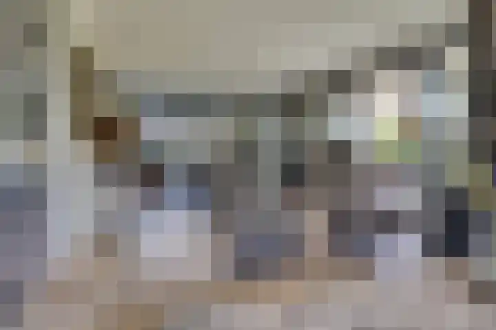 Dijkhoeve 5 Leusden thumbnail 5
