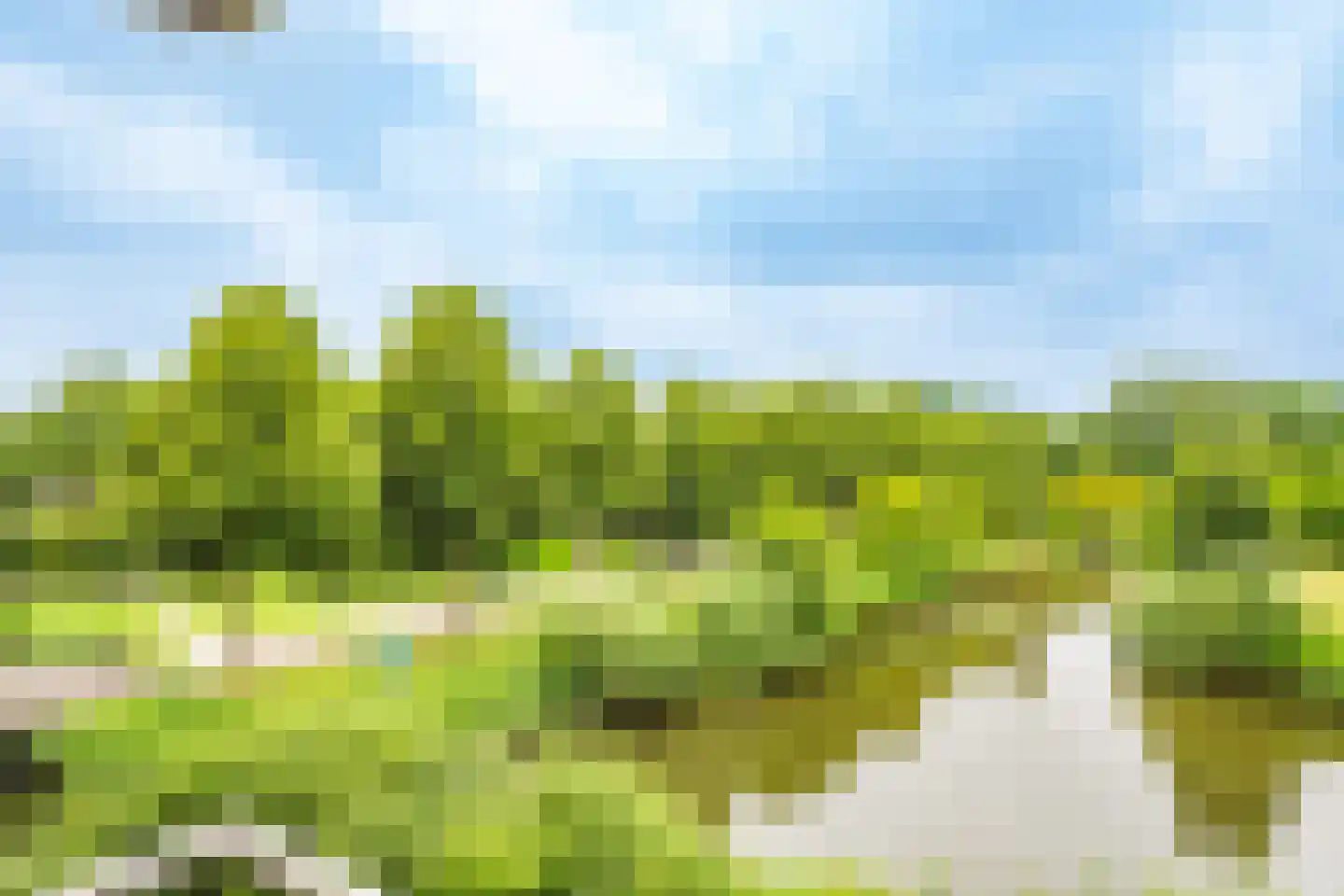 Dijkhoeve 63 Houten thumbnail 20